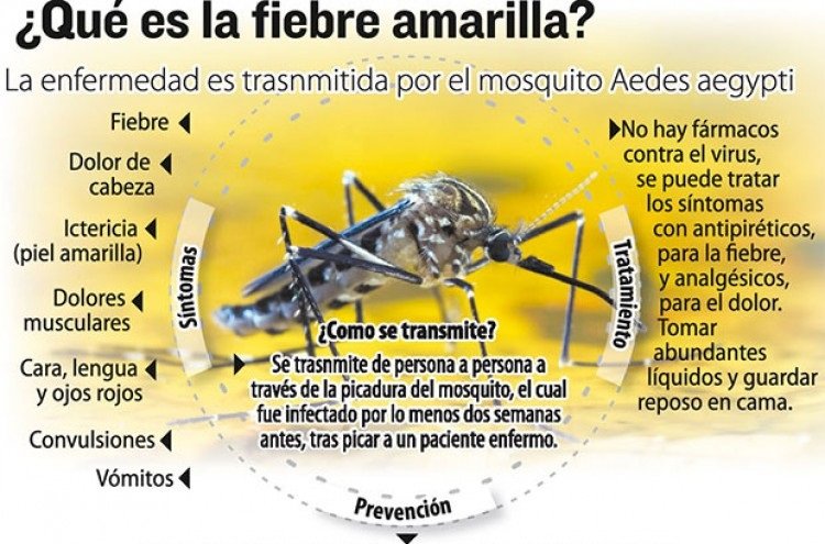 Continúa la vacunación por fiebre amarilla para viajeros