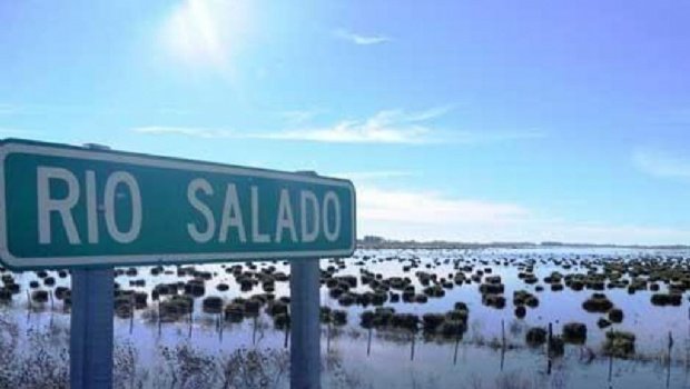 Chivilcoy recuperará varias hectáreas productivas con el dragado del Salado