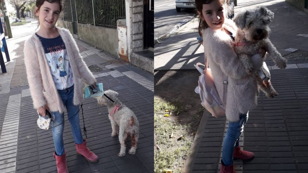 El mejor final: Jazmín encontró a su perra Pepa el día de su cumpleaños