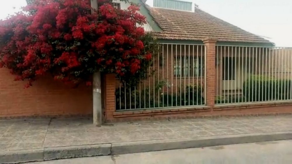 Encontraron plantas de marihuana en la casa de Lautaro Teruel