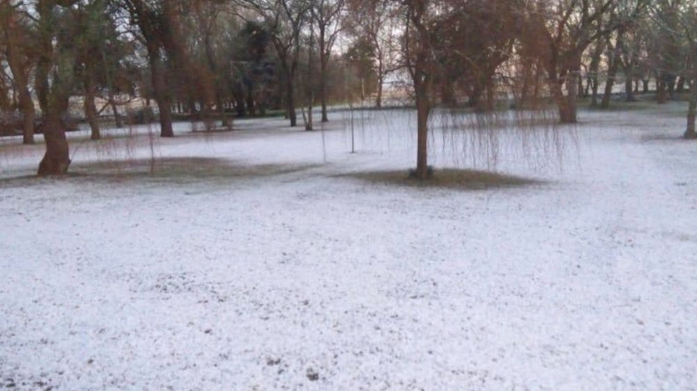Cayó nieve en Mar del Plata, Balcarce y Necochea