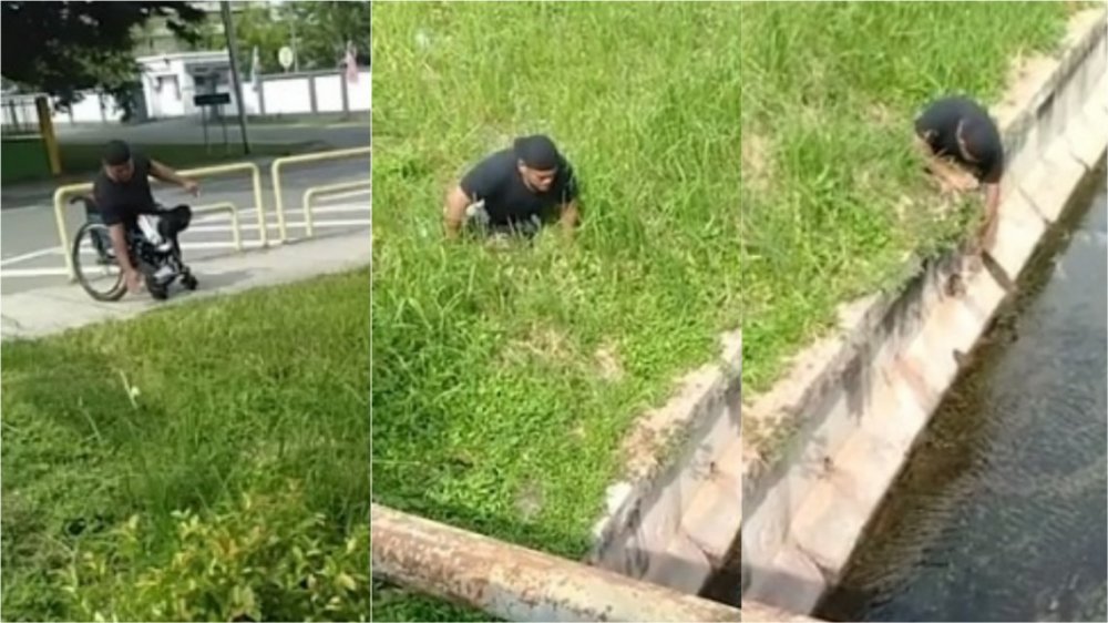 VIDEO: Un discapacitado salvó a un gatito de morir ahogado
