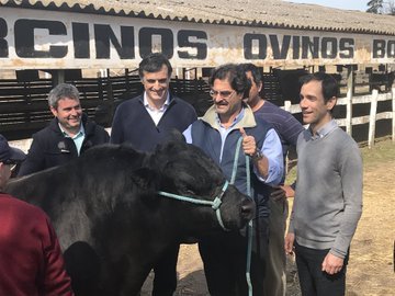 Sarquís en Expo Junín: 