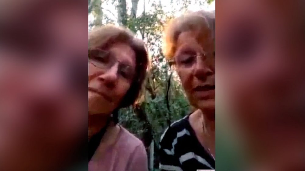 Dos jubiladas sobrevivieron dos días perdidas en la selva tucumana: el desopilante video que grabaron