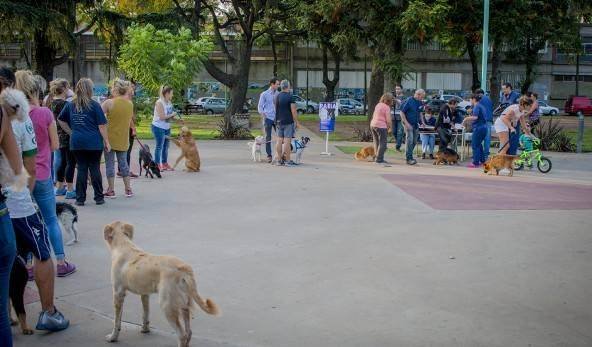 Campaña Anual de Vacunación Antirrábica por los Barrios