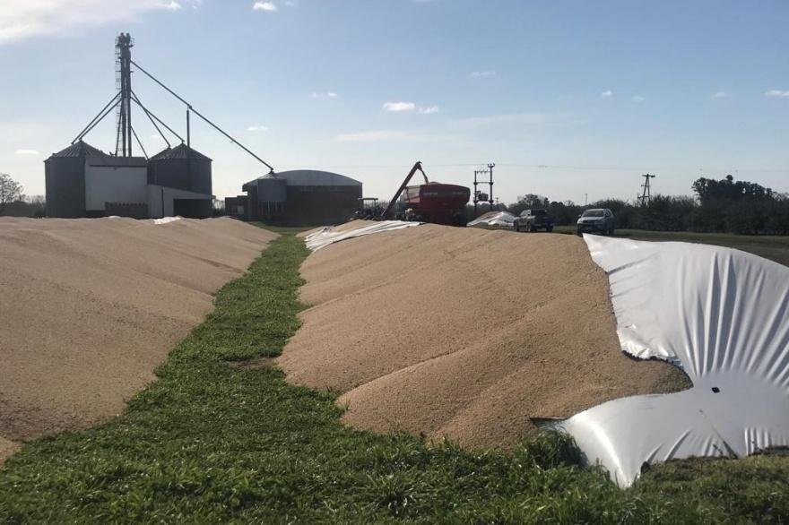 Productores agropecuarios en alerta por ola de vandalismo