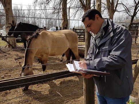 El Senasa controló los animales ingresados a la Expo Rural de Pergamino