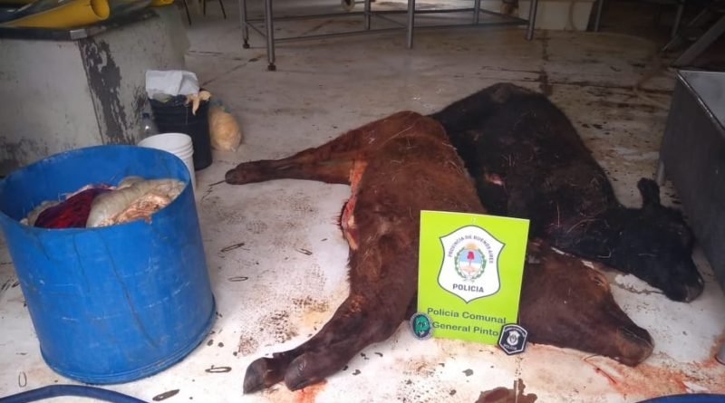 Atraparon a dos bandidos rurales cerca de Coronel Granada