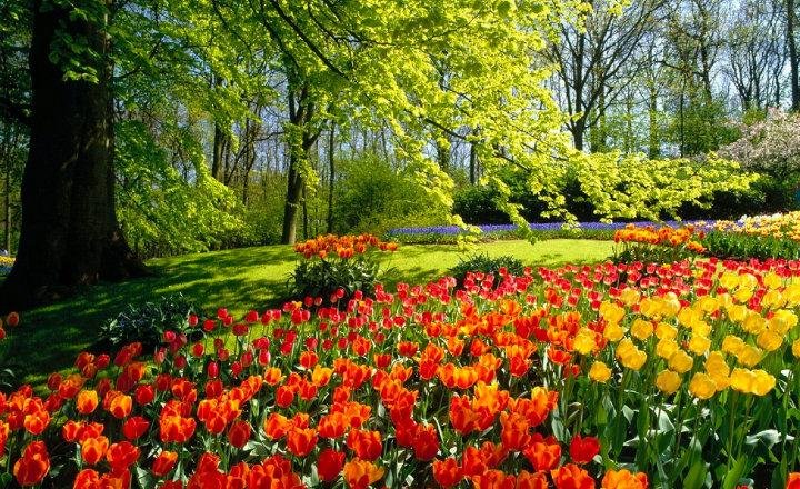 21 de septiembre: Feliz día de la primavera