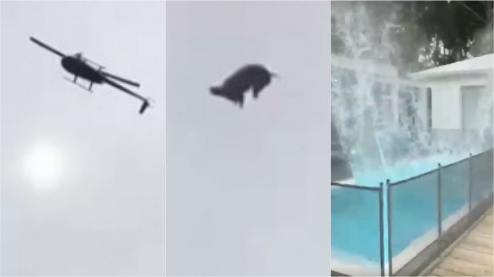 VIDEO: Tiraron un chancho desde un helicóptero a una pileta