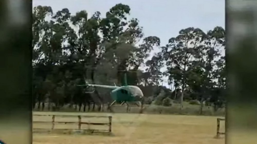 Revelador video: así despegaba el helicóptero con el que le tiraron el cerdo a Álvarez Castilo