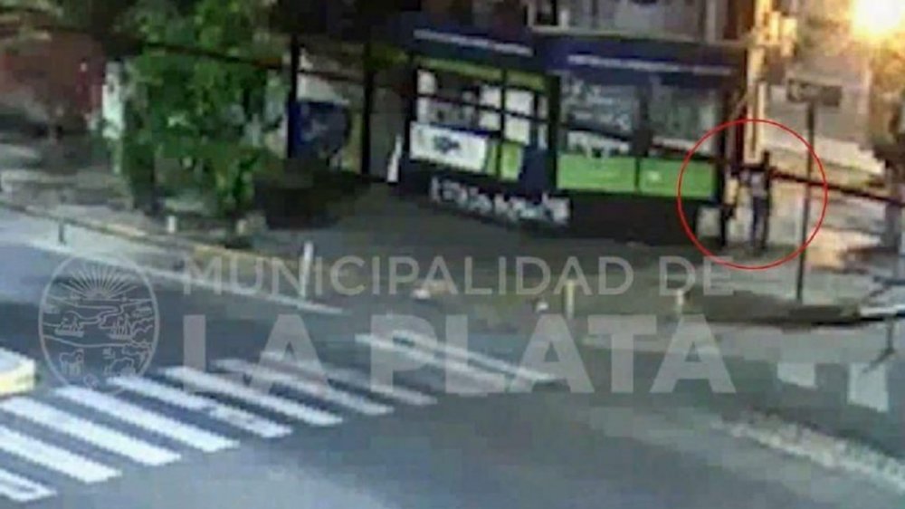La Plata: un trapito violó a una joven en un contenedor de basura