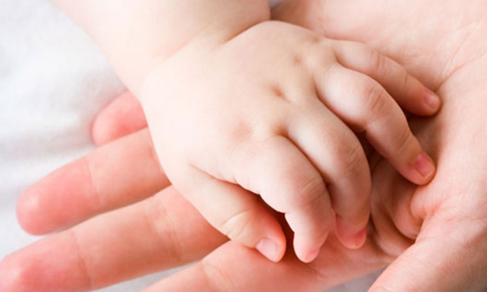 Brindarán una charla para quienes quieran adoptar