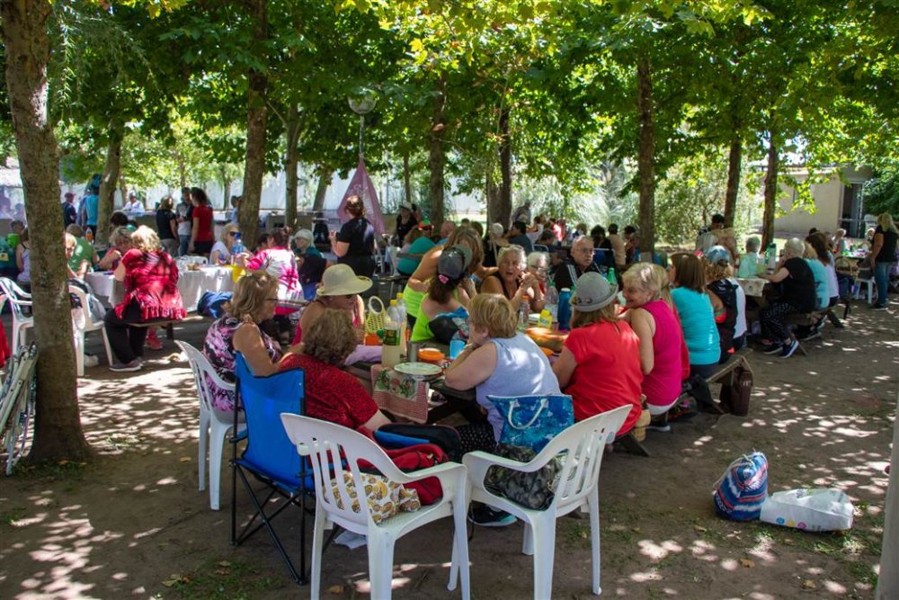 Más de 300 adultos mayores disfrutaron del cierre de la colonia en el Club Náutico