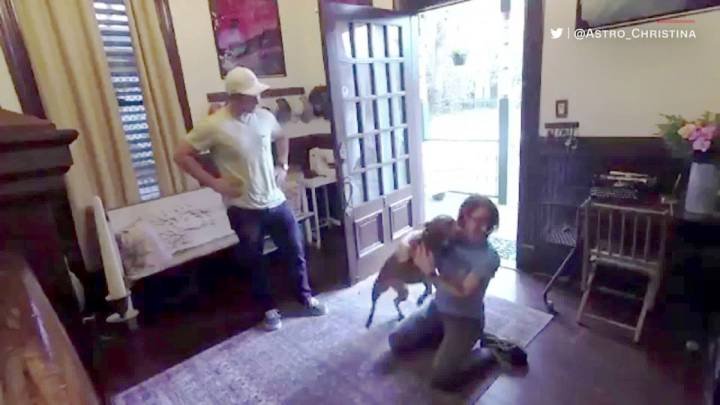 VIDEO: El emotivo reencuentro entre una astronauta y su perro después de casi un año