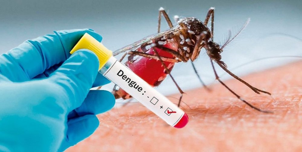 El Municipio conformó equipos de trabajo territoriales para intensificar la prevención del Dengue