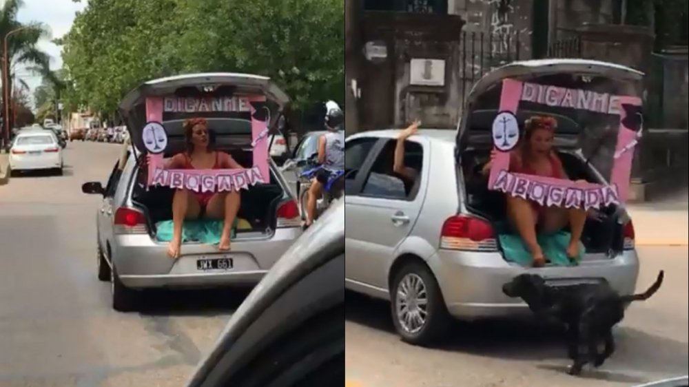 Twitter: festejaba que se había recibido y la mordió un perro