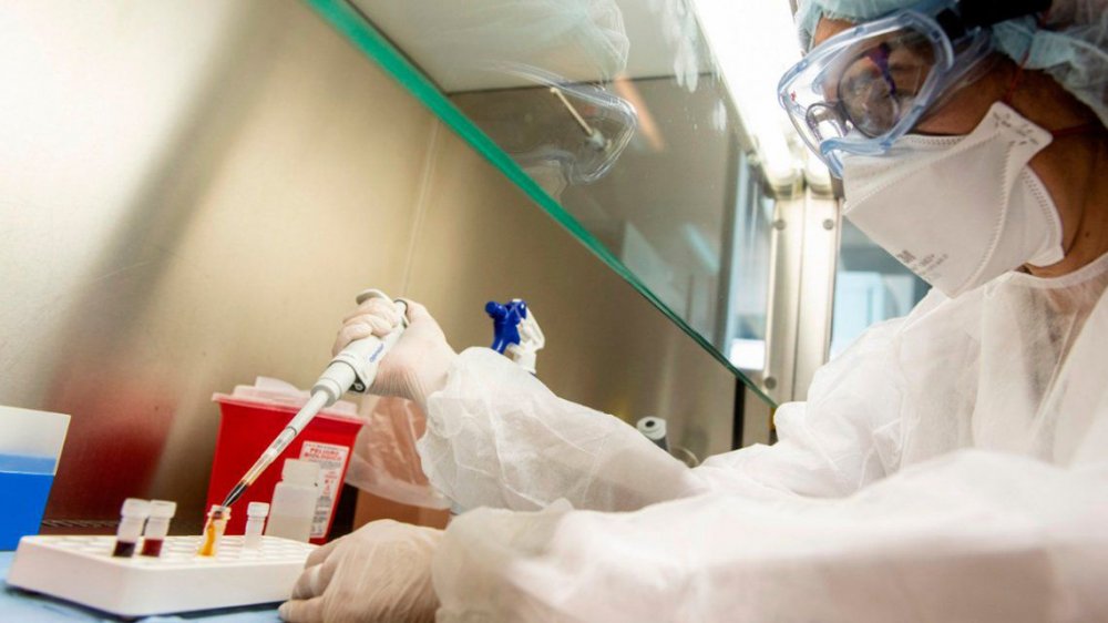 La OMS frenó los ensayos clínicos con hidroxicloroquina en pacientes con coronavirus