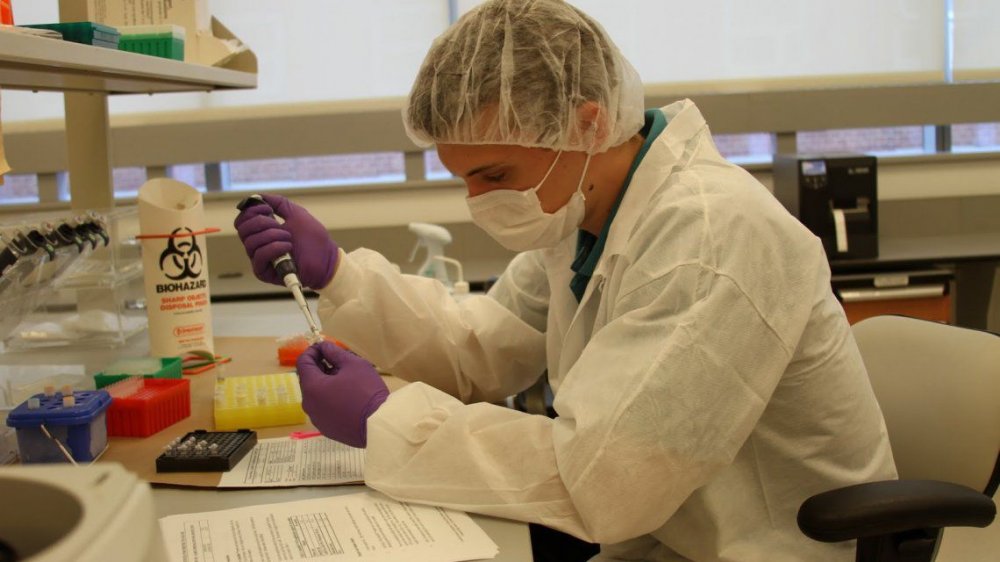 Hallaron en China otro virus con potencial de pandemia