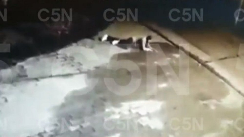 Video: así fue como el herrero jubilado le disparó al ladrón que lo asaltaba en su casa de Quilmes
