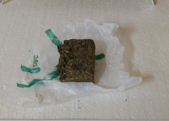 Secuestran marihuana en procedimiento anti drogas