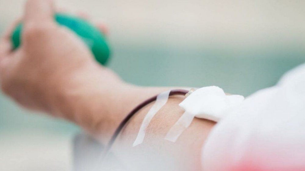 Rechazo del Gobierno a la Asociación de Hemoterapia por impedir que un joven done sangre por ser homosexual