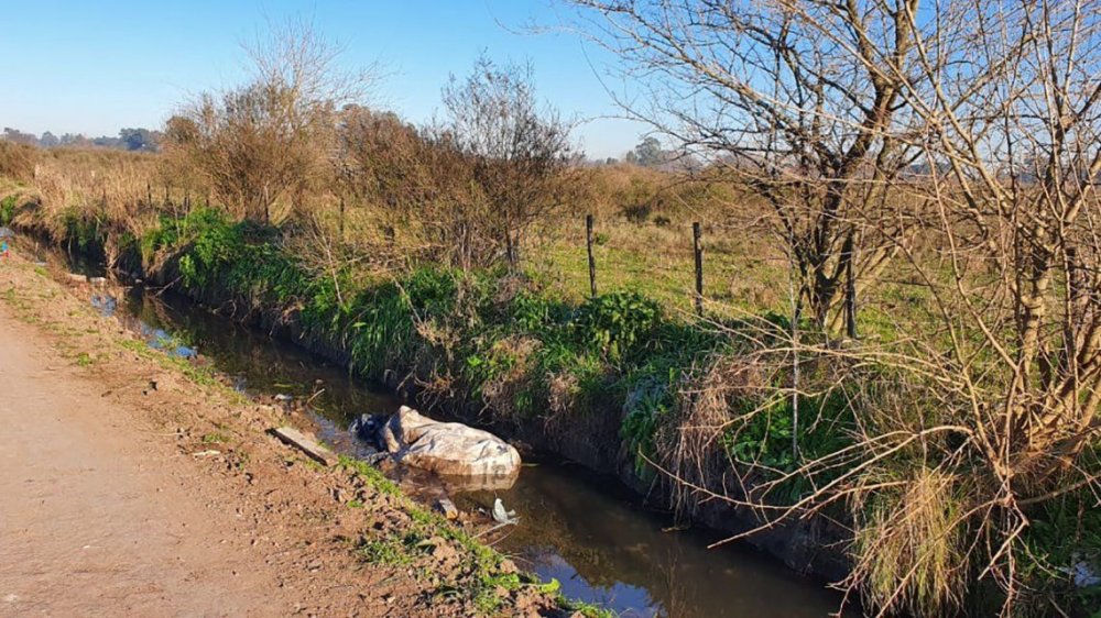 Femicidio en Guernica: asesinaron a una mujer y arrojaron su cuerpo a un zanjón