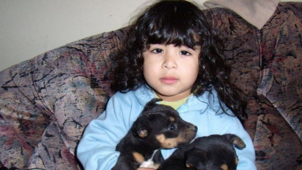 Caso Sofía Herrera: pidieron la captura internacional de 