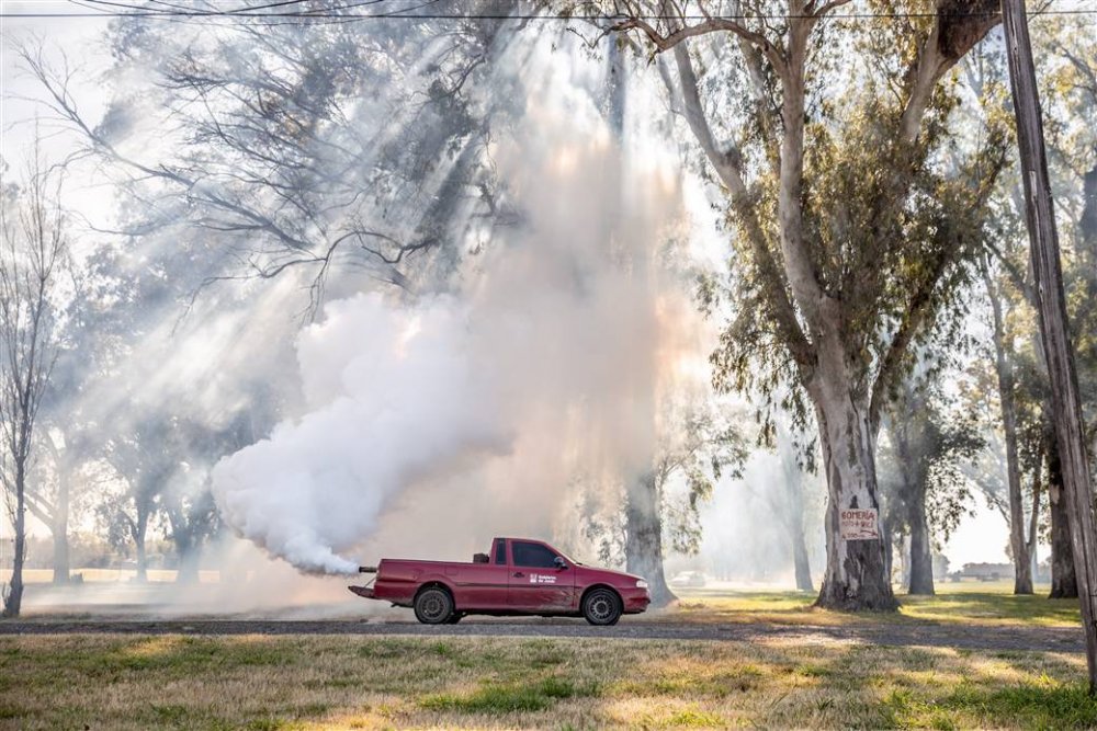 Continúan las tareas de fumigación y muestreo para controlar el barigüí