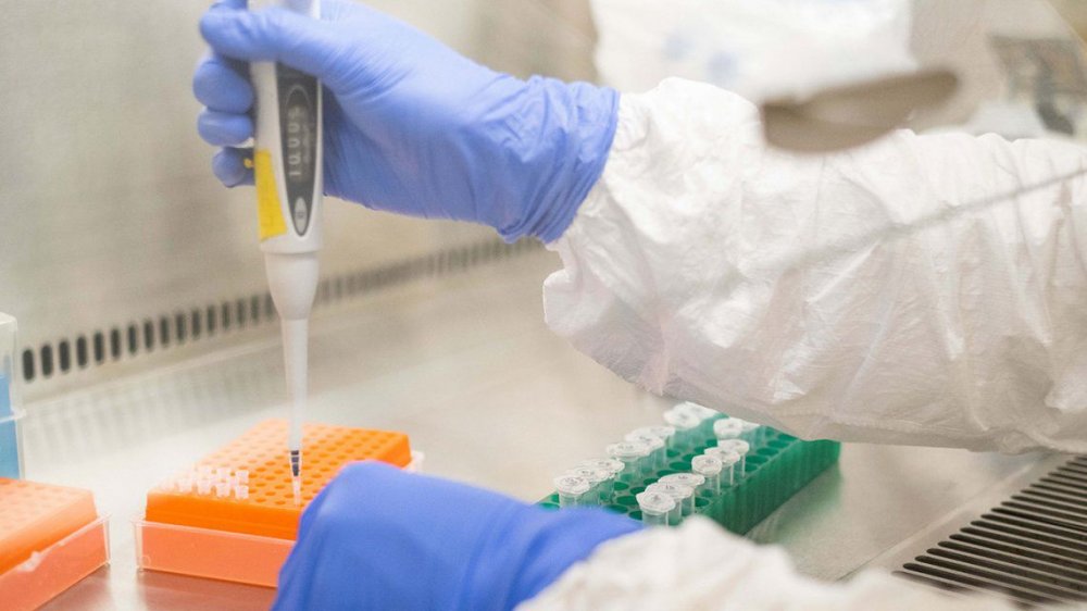 Coronavirus: Pfizer presentará el pedido ante la FDA para que autoricen su vacuna