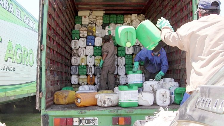 Se realizó con éxito la recolección de envases de productos fitosanitarios