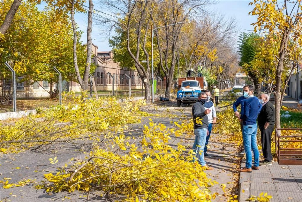 Se puso en marcha un plan de poda en los barrios de la ciudad
