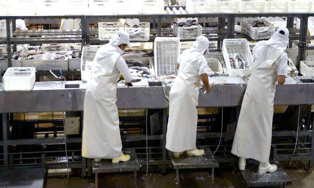 Nani: “Hay un incremento de búsquedas laborales”