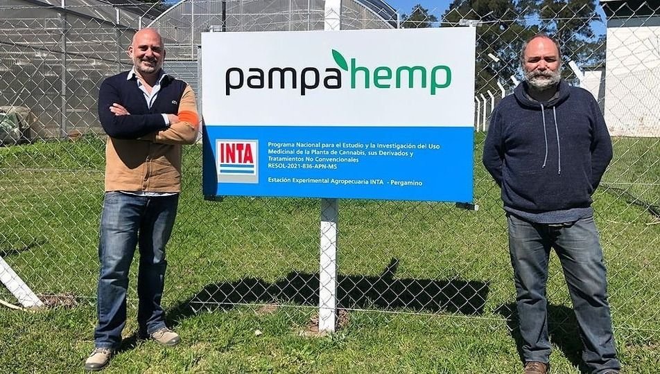 Una pyme de pergamino comenzó a cultivar legalmente cannabis junto al INTA