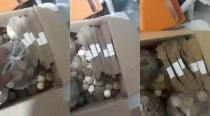Le sacaron la moto y pagó una multa de $9.000 con monedas