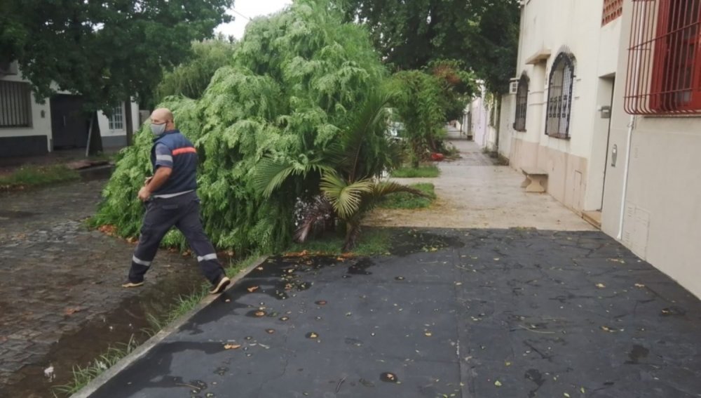 Intenso trabajo para reparar daños ocasionados por la tormenta