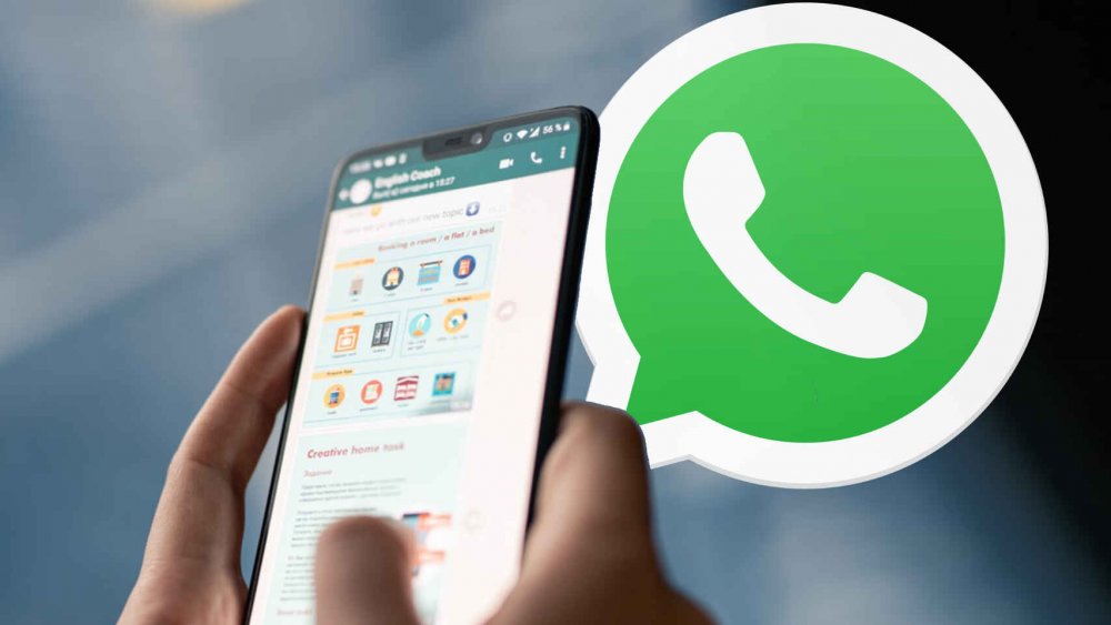 WhatsApp lanza una nueva función: cómo serán las encuestas en la app