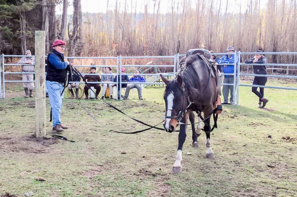 Vuelve el servicio de equinoterapia a la Sociedad Rural