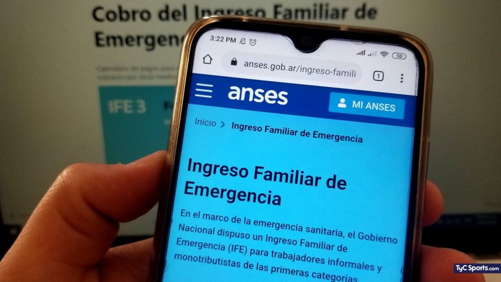 IFE 4: Esta es la información que Anses analizará en su evaluación patrimonial y socioeconómica