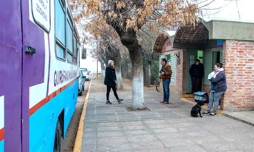 Operativos de castración y vacunación antirrábica en Saforcada