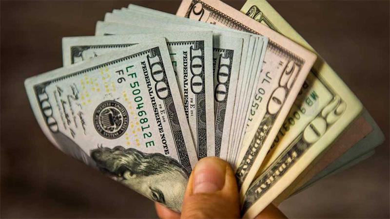 Dólar soja: cerealeras no podrán comprar dólares bursátiles ni ahorro