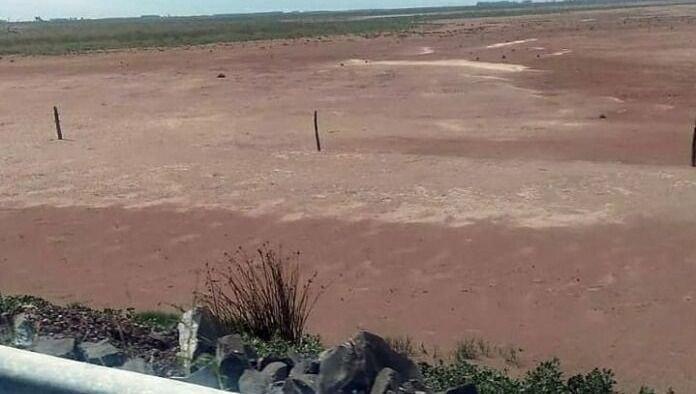 La Picasa: la sequía provocó una bajante histórica de la laguna