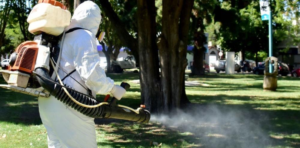 Provincia profundiza operativos de prevención contra el dengue