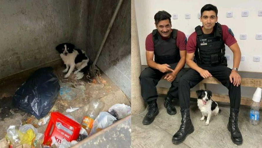 Indignante: una mujer tiró a una perrita en la basura y la rescató la policía