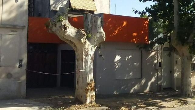 Denuncian la falta de arbolado público en la ciudad