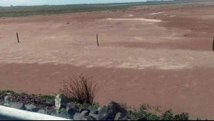La Picasa: la sequía provocó una bajante histórica de la laguna