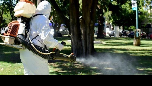 Provincia profundiza operativos de prevención contra el dengue