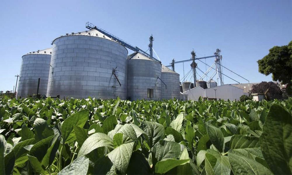 En medio de la incertidumbre, ¿Qué pasa con los mercados agrícolas?