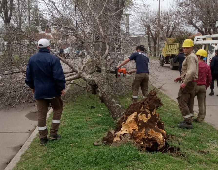 Intensos trabajos de las cuadrillas municipales y de Defensa Civil por los fuertes vientos