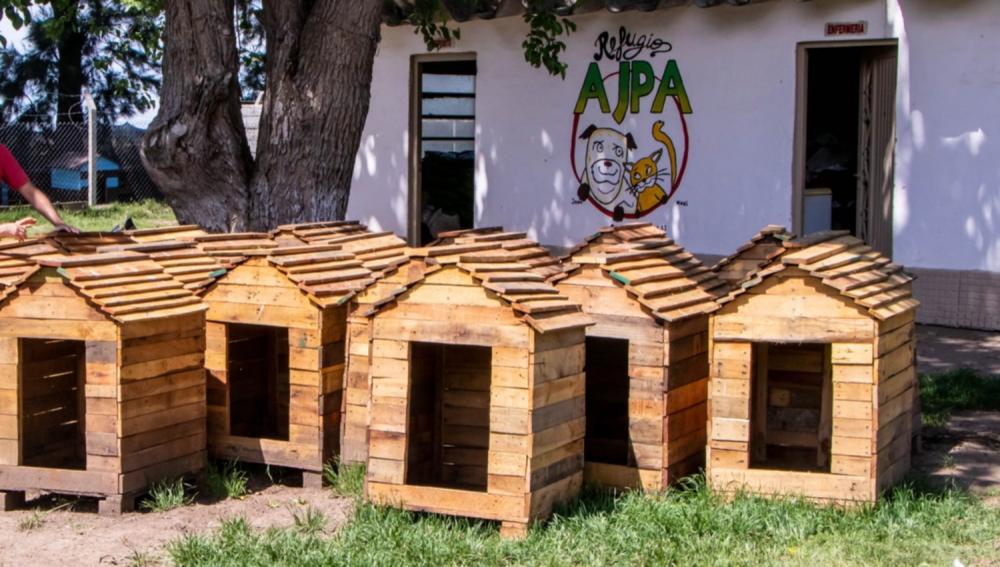 AJPA recibió 20 cuchas construidas por internos de la UP N° 16